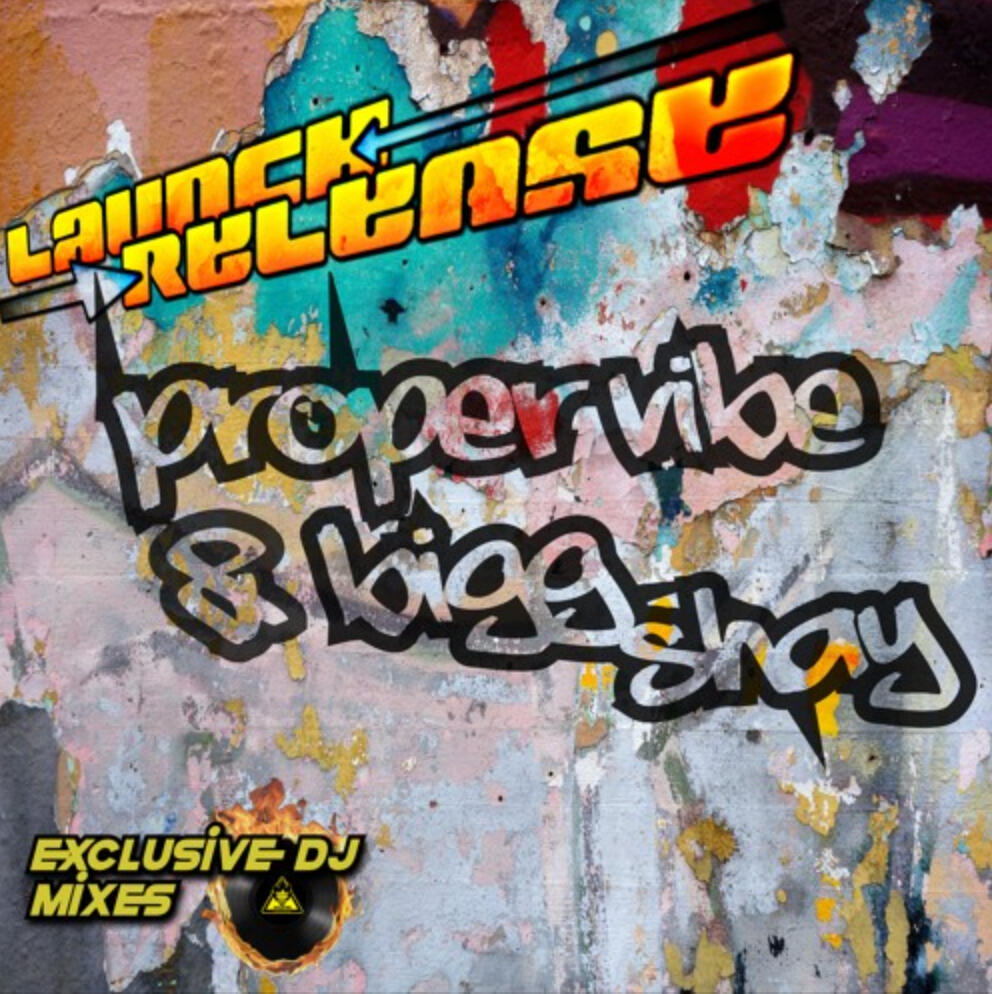 PROPER VIBE w/ BIGG SHAY (Bass House)