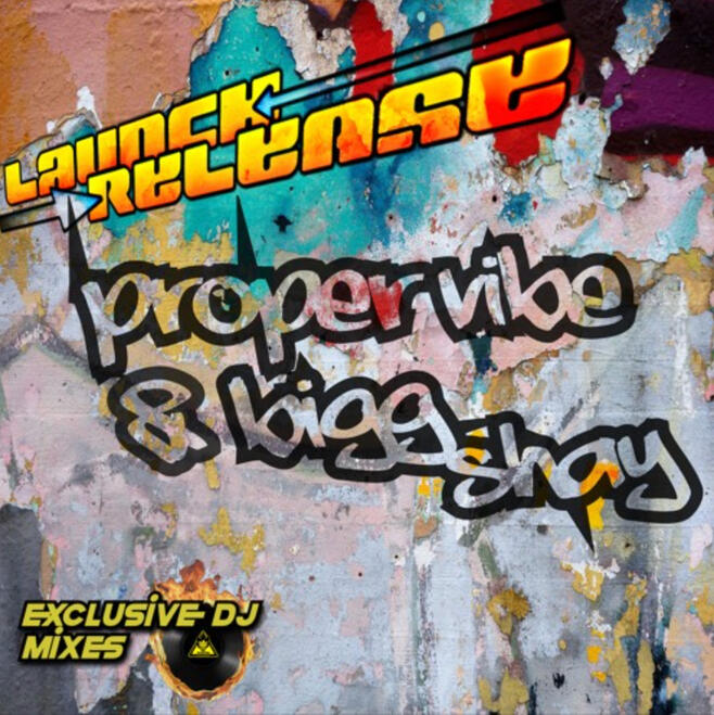PROPER VIBE w/ BIGG SHAY (Bass House)
