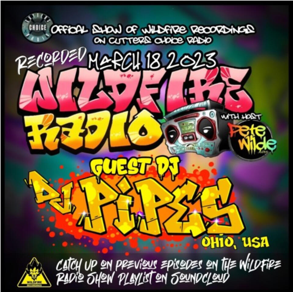 WFR#17 Guest DJ: DJ-Pipes